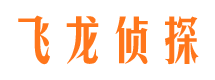 阳原侦探公司